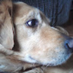 Meet your Posher, Lola